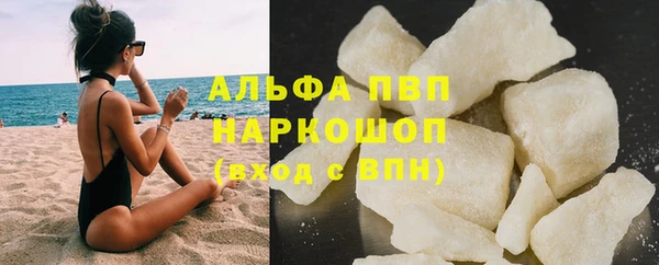бошки Белокуриха