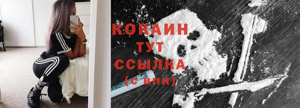 бошки Белокуриха