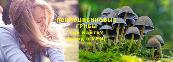 бошки Белокуриха