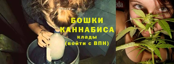 бошки Белокуриха